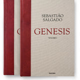 Sebastião Salgado. Genesis