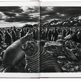 Sebastião Salgado. Genesis