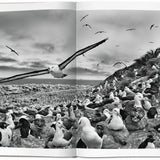 Sebastião Salgado. Genesis